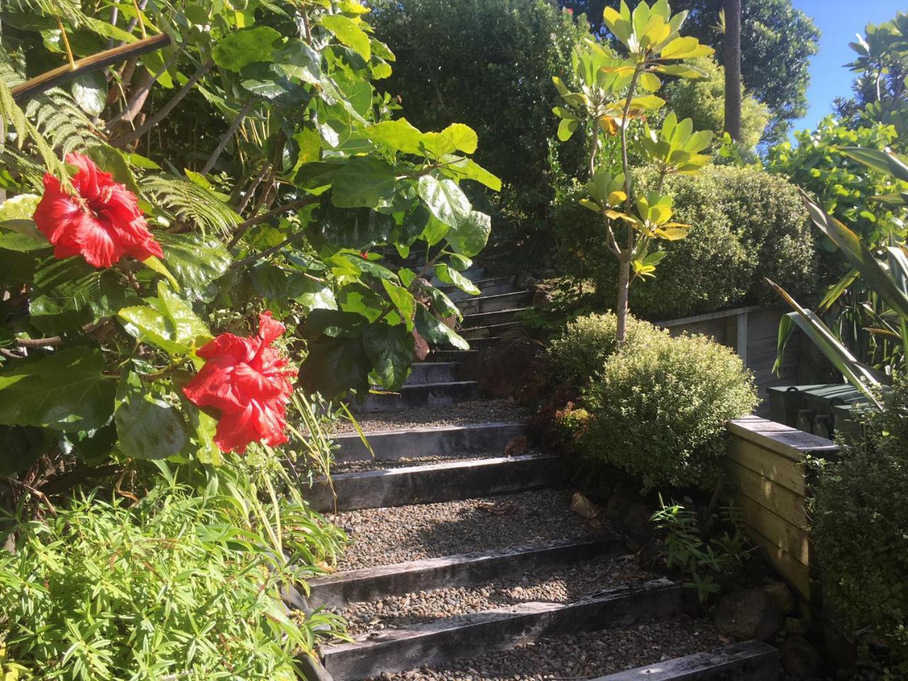 Fantail B&B Tairua Bagian luar foto